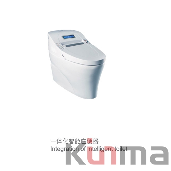 New Product Dry Toilet