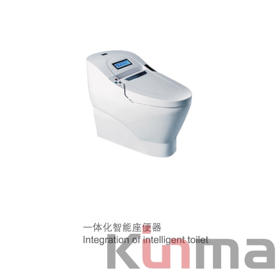2016 modern dry toilet