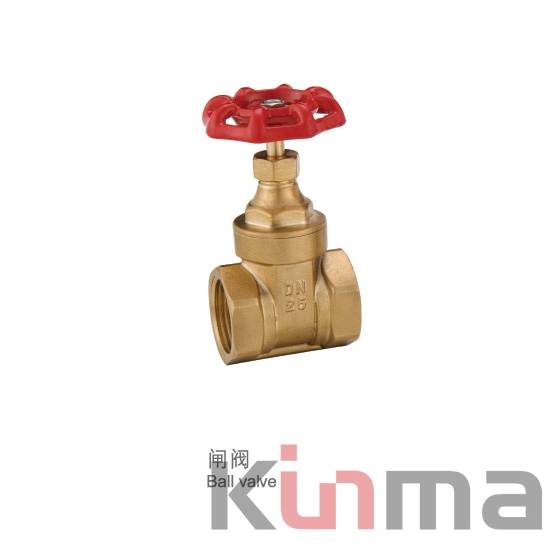 <b>Brass water meter gate valve</b>