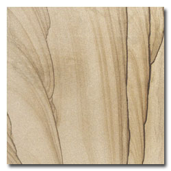 Pine Grainy Yellow Sandstone